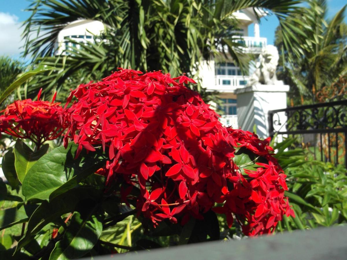 Couette-café Luxor Belle Mare